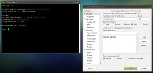 A screenshot of PuTTY running under Ubuntu MATE