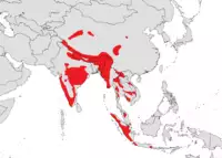 Cuon alpinus range.png
