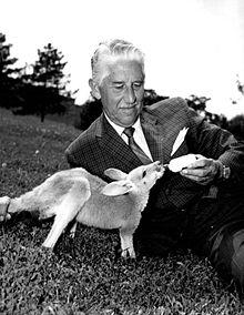 Marlin Perkins Wild Kingdom.JPG