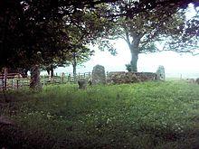 Old Keig Stone Circle - geograph.org.uk - 455962.jpg