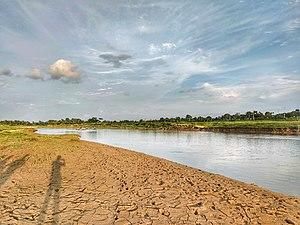 Gumti River 2018-08-31 (4).jpg