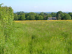 Aller Grove from Woodhayes Lane - geograph.org.uk - 178289.jpg