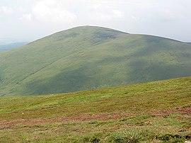 Hedgehope Hill from Scald Hill - geograph.org.uk - 1421255.jpg
