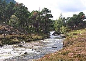 River Quoich.jpg