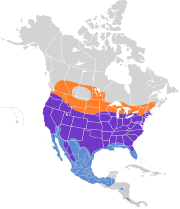 Accipiter cooperii map.svg