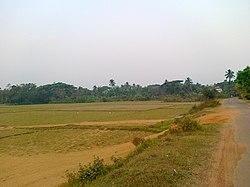 ମଇଁନ୍ଦିପୁରକୁ ରାସ୍ତା ୨.jpg