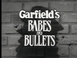 Garfieldbabesandbulletstitle.PNG
