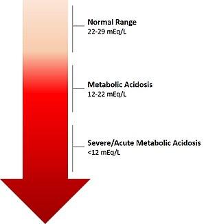 Bicarbonate Levels in Metabolic Acidosis.jpg