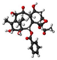 10-Deacetylbaccatin III molecule