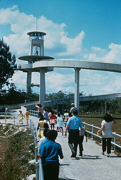 Shark Valley Tower.jpg