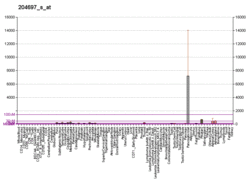 PBB GE CHGA 204697 s at fs.png