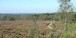 Sallandse Heuvelrug National Park near Nijverdal
