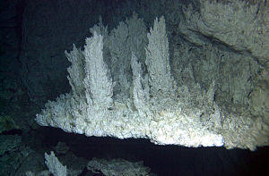 Lost City (hydrothermal field)02.jpg