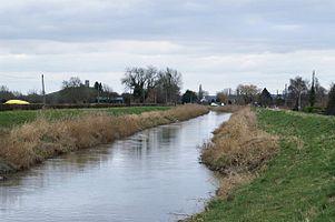 Riverparrett.jpg