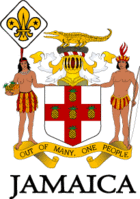 Scout Association of Jamaica.png