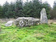 Loudon Wood Stone Circle - geograph.org.uk - 256267.jpg