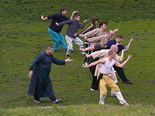 Taijiquan Budapest.jpg
