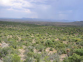 Karoo National Park.jpg