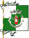 Flag of Argoncilhe