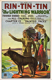The Lightning Warrior poster.jpg