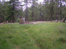 The Nine Stanes - geograph.org.uk - 30403.jpg