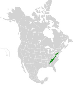 Appalachian-Blue Ridge forests map.svg