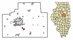 Location of Downs in McLean County, Illinois.