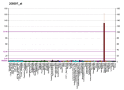 PBB GE CNTF 208597 at fs.png
