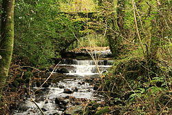 River Ashburn - geograph.org.uk - 1021948.jpg
