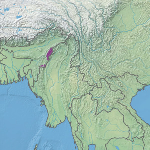 Ecoregion IM0303.png