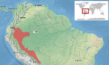 Chiasmocleis ventrimaculata map-fr.svg