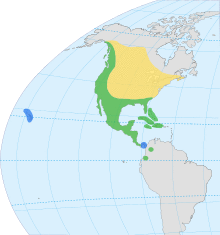 Fulica americana map.svg