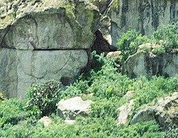 Guila Naquitz cave.jpg