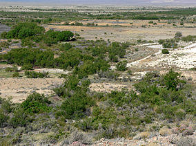 Ash Meadows Point of Rocks Springs 5.jpg