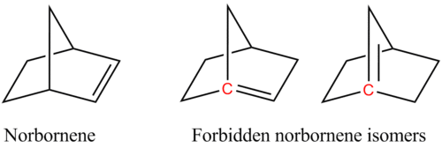 Norbornene isomers Bredt rule.png