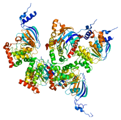 Protein CFTR PDB 1xmi.png
