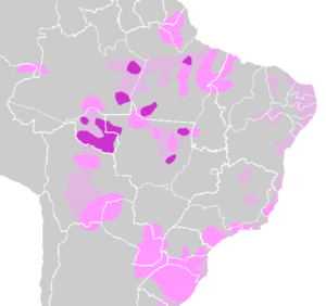Tupi languages.png