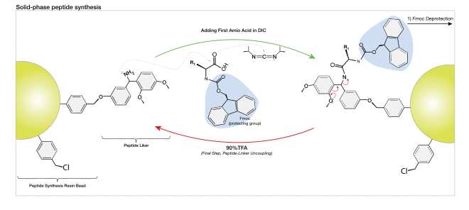 Table of amino acids