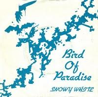 Snowywhitebirdofparadise.jpg