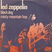 Black Dog45.jpg