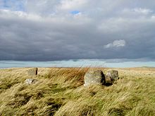 Five Stanes Stone Circle - geograph.org.uk - 51427.jpg