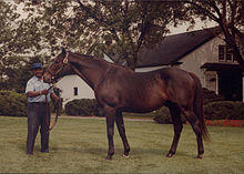 Nashua & Clem Brooks.jpg