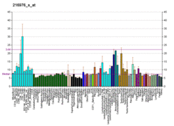 PBB GE RYK 216976 s at fs.png