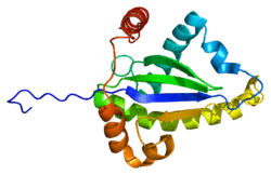 Protein TRADD PDB 1f2h.png