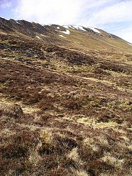 View to Carn Dearg - geograph.org.uk - 254266.jpg