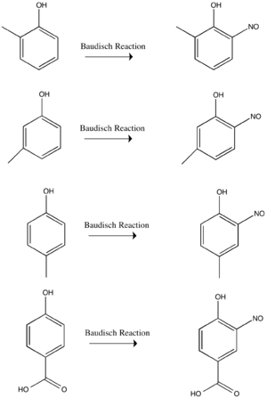 Baudisch Reaction with substituents.png144