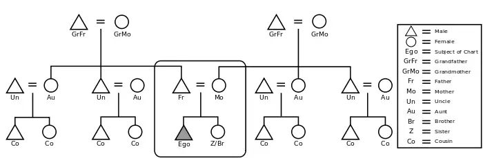 Graphic of the Eskimo kinship system