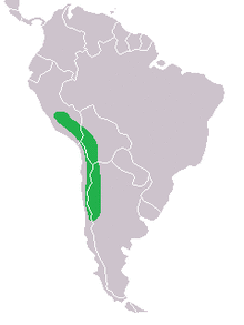 Chloephaga melanoptera range map.png