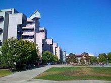 Fallen Star on Warren Mall.jpg