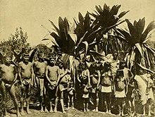 Patamona indians on the kaieteur plateau.jpg
